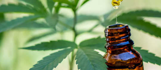 Huile de CBD médicale