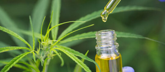 CBD